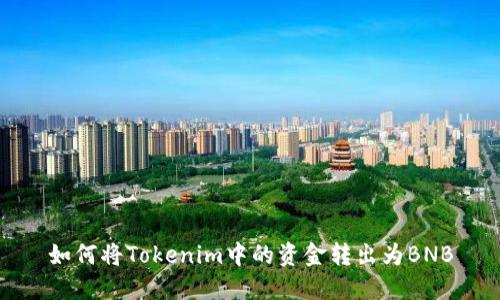 如何将Tokenim中的资金转出为BNB