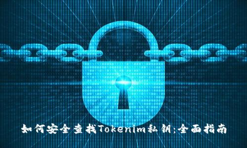 如何安全查找Tokenim私钥：全面指南