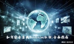 如何安全查找Tokenim私钥：全面指南