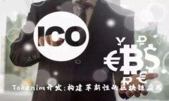  Tokenim开发：构建革新性的区块链应用