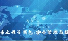 数字货币之母子钱包：安全管理与操作指南