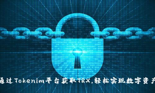 如何通过Tokenim平台获取TRX，轻松实现数字资产增值