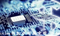 如何在Tokenim钱包中购买宽带：详细步骤与技巧
