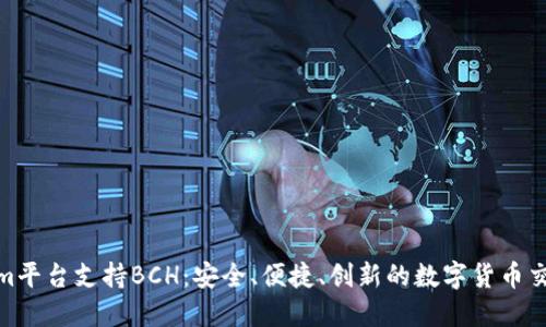 Tokenim平台支持BCH：安全、便捷、创新的数字货币交易服务