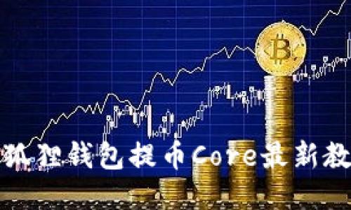 小狐狸钱包提币Core最新教程