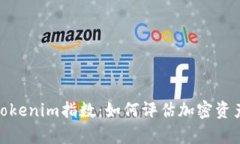 : 深入解析Tokenim指数：如何评估加密资产的真实
