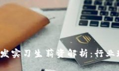  区块链钱包开发实习生薪资解析：行业现状与未