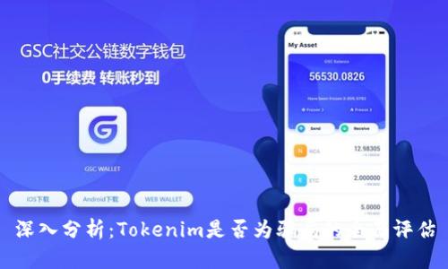 深入分析：Tokenim是否为骗局的全面评估