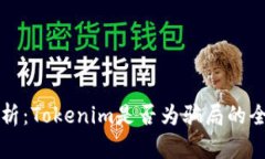 深入分析：Tokenim是否为骗局的全面评估