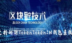 构建多语言支持的仿TokenTokenIM钱包系统：功能与