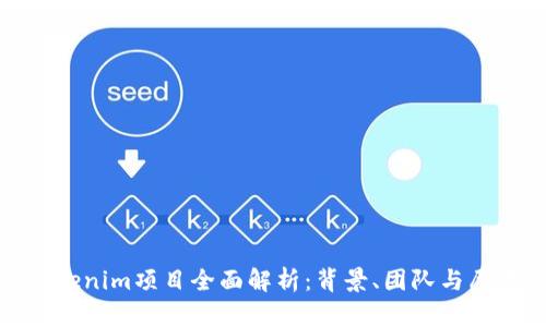 Tokenim项目全面解析：背景、团队与愿景