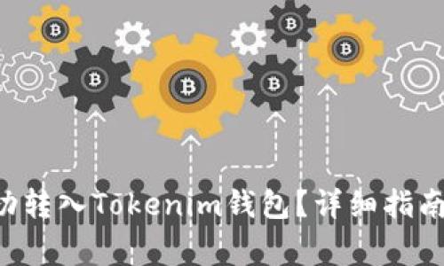 : 如何将DOT成功转入Tokenim钱包？详细指南与常见问题解析