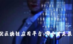 探索最优区块链应用平台：哪个才是最佳选择？