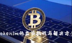 Tokenim的监管挑战与解决方案
