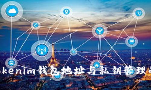 解密Tokentokenim钱包地址与私钥管理的安全与风险