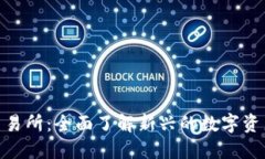 Tokenim交易所：全面了解新兴的数字资产交易平台