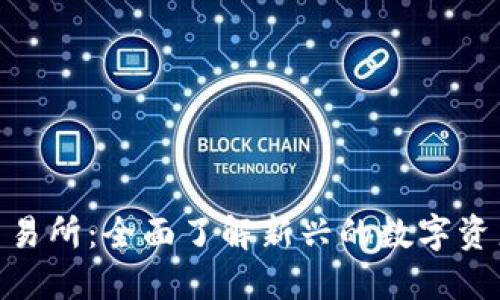 Tokenim交易所：全面了解新兴的数字资产交易平台