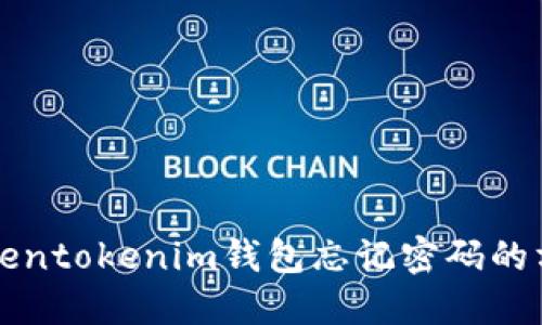 解决Tokentokenim钱包忘记密码的方法指南