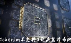 如何解决Tokenim不支持3开头莱特币地址的问题