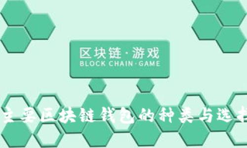 了解主要区块链钱包的种类与选择指南