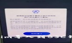 如何将Tokenim导入到BSC钱包：全面指南