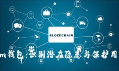 揭秘TokenTokenim钱包：识别潜在隐患与保护用户资
