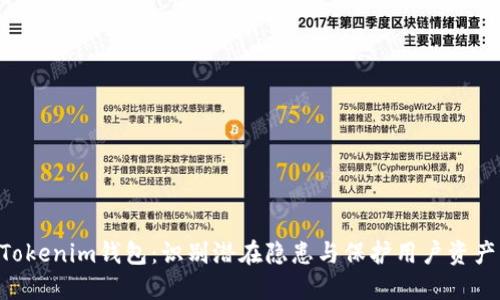 揭秘TokenTokenim钱包：识别潜在隐患与保护用户资产的实用指南