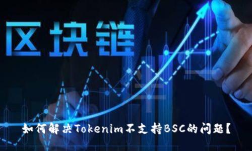 如何解决Tokenim不支持BSC的问题？