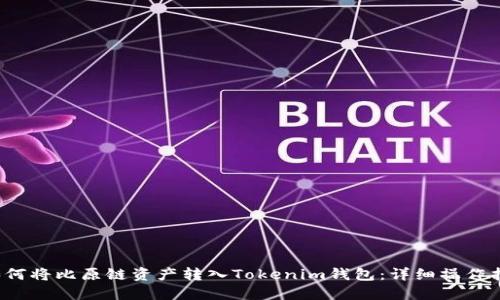  如何将比原链资产转入Tokenim钱包：详细操作指南