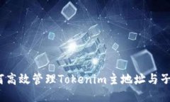  如何高效管理Tokenim主地址与子地址