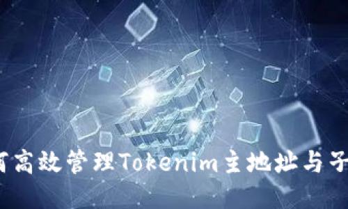  如何高效管理Tokenim主地址与子地址