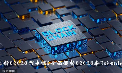 Tokenim支持ERC20代币吗？全面解析ERC20和Tokenim的兼容性