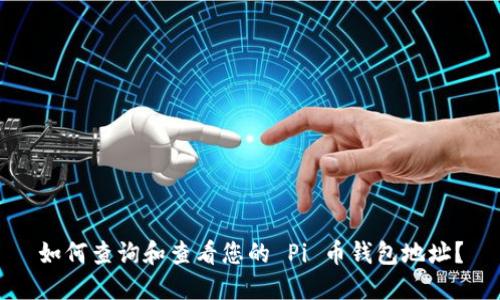 如何查询和查看您的 Pi 币钱包地址？