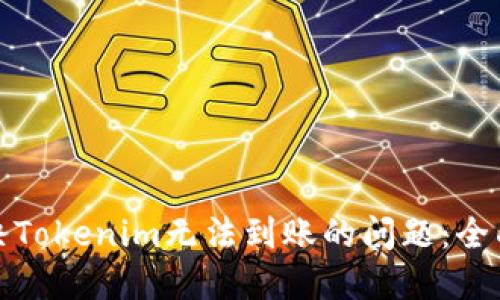 : 解决Tokenim无法到账的问题：全面指南