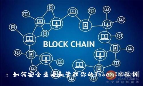 : 如何安全查看和管理你的TokenIM私钥