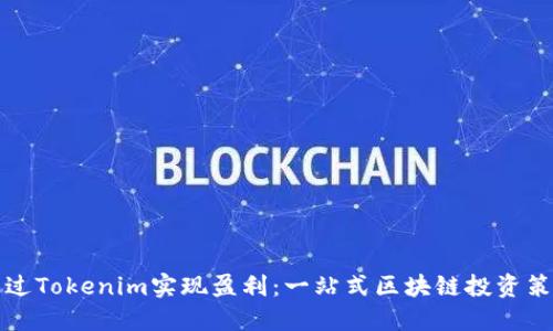 如何通过Tokenim实现盈利：一站式区块链投资策略指南