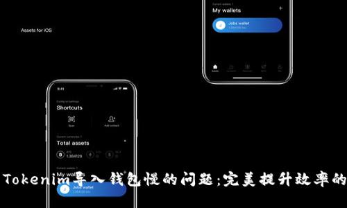 解决Tokenim导入钱包慢的问题：完美提升效率的方法