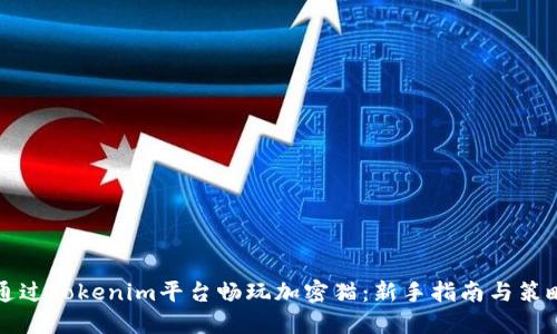 如何通过Tokenim平台畅玩加密猫：新手指南与策略分享