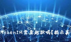 安卓手机使用TokenIM需要越狱吗？揭示真相与解决
