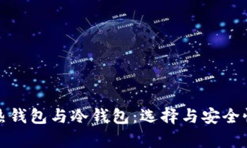 数字货币的热钱包与冷钱包：选择与安全性的全面解析