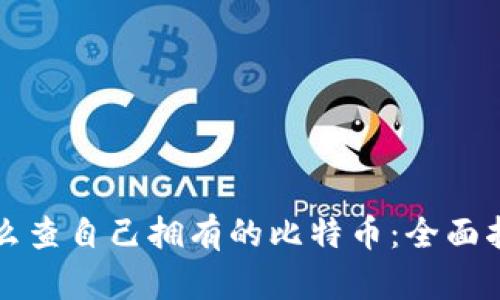 怎么查自己拥有的比特币：全面指南