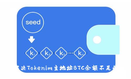 如何解决Tokenim主地址BTC余额不足的问题