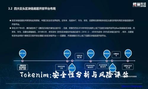 Tokenim：安全性分析与风险评估