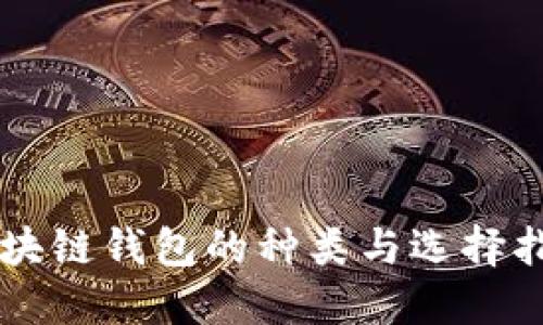区块链钱包的种类与选择指南