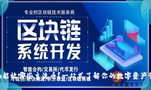 Tokenim能放哪些主流币？一站式了解你的数字资产管理选择