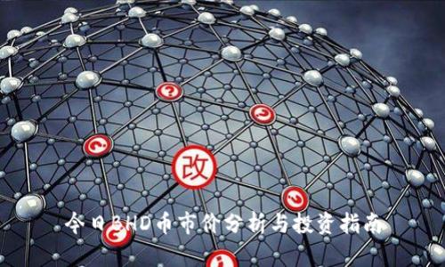 今日BHD币市价分析与投资指南