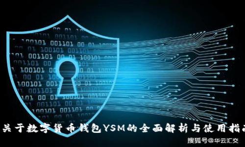  关于数字货币钱包YSM的全面解析与使用指南
