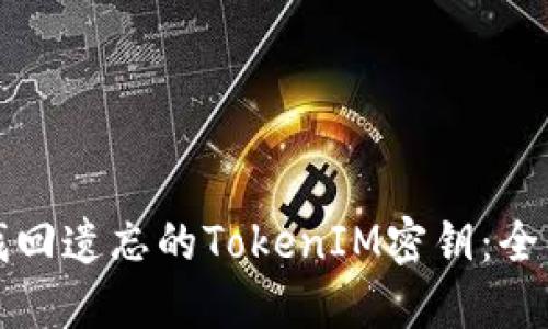 如何找回遗忘的TokenIM密钥：全面指南