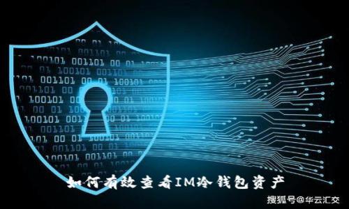 如何有效查看IM冷钱包资产