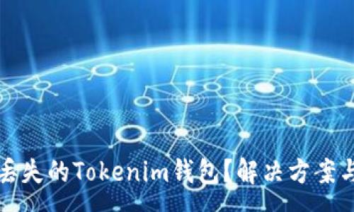 :
如何找回丢失的Tokenim钱包？解决方案与注意事项